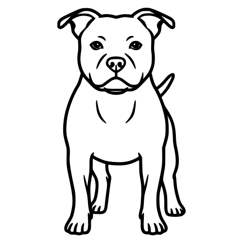 Staffordshire Bull Terrier - Digital File - XCS Friendly Digital My Custom Designs PDF