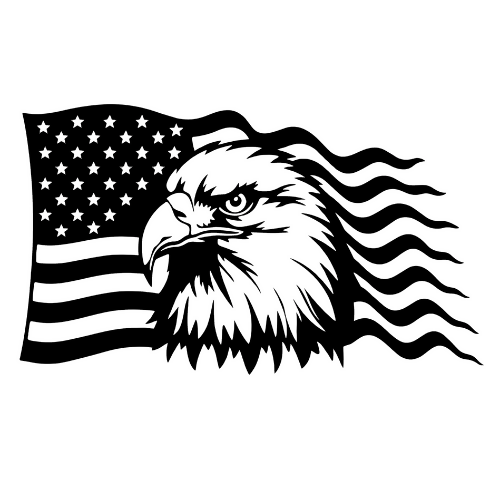 Bald Eagle Free Form American Flag - Wall Home Decor - Digital File Digital My Custom Designs ZIP File