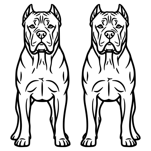 Cane Corso Outline - Digital File - XCS Friendly Digital My Custom Designs PDF
