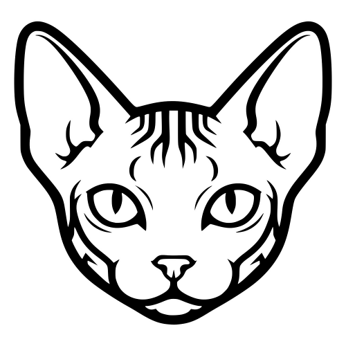 Bambino Cat Face - Digital File - XCS Friendly Digital My Custom Designs PDF