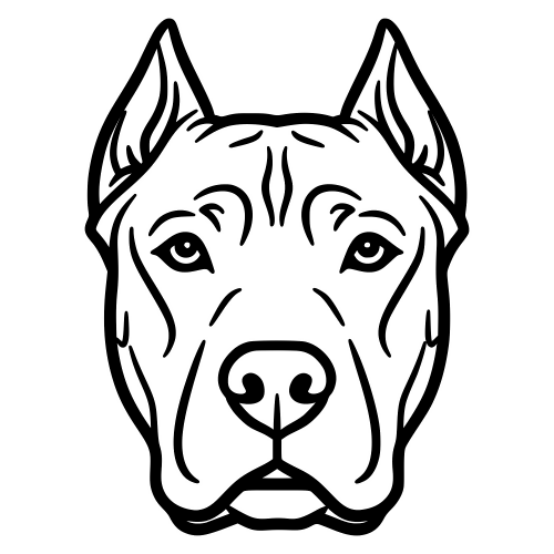 Dogo Argentino Face - Digital File - XCS Friendly Digital My Custom Designs PDF
