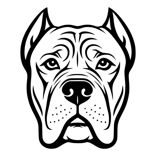 Cane Corso - Digital File - XCS Friendly Digital My Custom Designs PDF