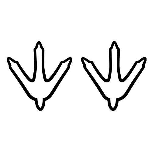 Turkey Tracks Outline - Vector Graphics - Digital File Digital My Custom Designs PDF