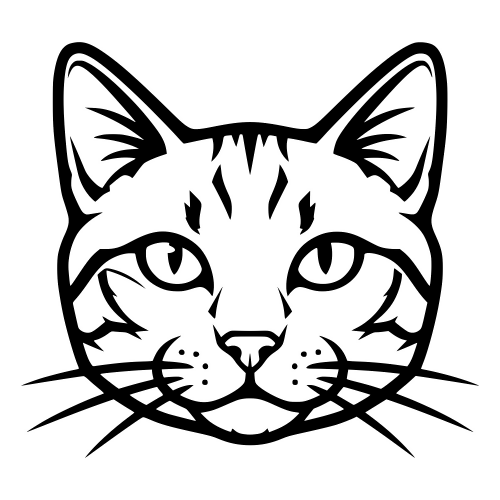 York Chocolate Face - Digital File - XCS Friendly Digital My Custom Designs PDF