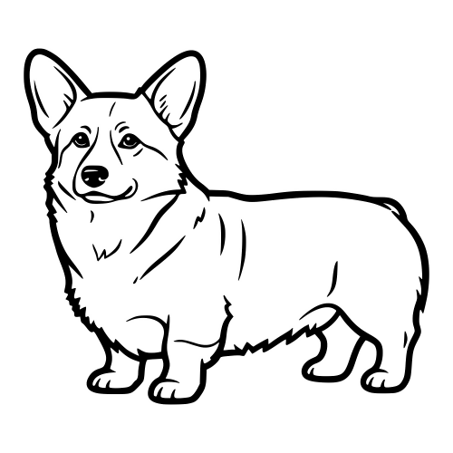 Corgi Short Legs - Digital File - XCS Friendly Digital My Custom Designs PDF