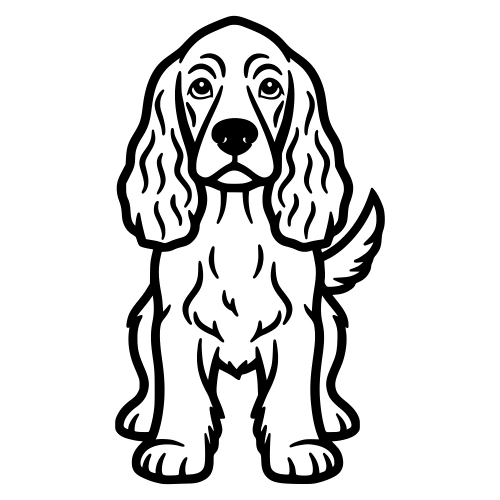 Cocker Spaniel Cartoon - Digital File - XCS Friendly Digital My Custom Designs PDF