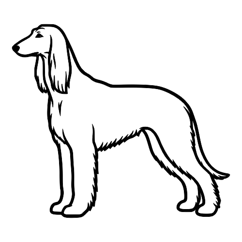 Afghan Hound Outline - Digital File - XCS Friendly Digital My Custom Designs PDF