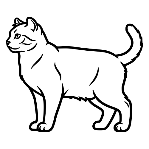 Highlander Cat Outline - Vector Graphics - Digital File Digital My Custom Designs PDF