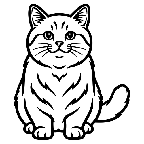 Minuet Napoleon Outline - Digital File - XCS Friendly