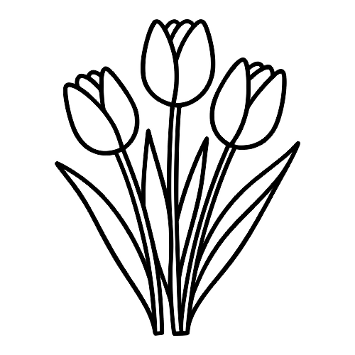 Tulip Bunch Sketch - Digital File - XCS Friendly Digital My Custom Designs PDF