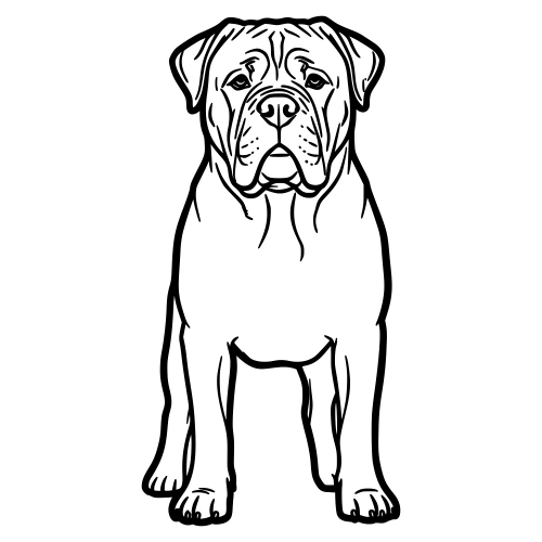 Bullmastiff Sketch - Digital File - XCS Friendly Digital My Custom Designs PDF