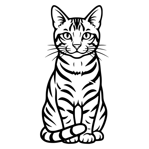 Toyger Cat - Vector Graphics - Digital File Digital My Custom Designs PDF