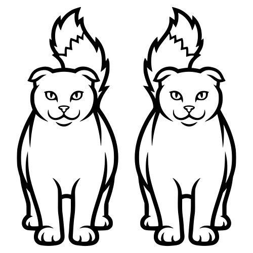 Highlander Cat - Digital File - XCS Friendly Digital My Custom Designs PDF