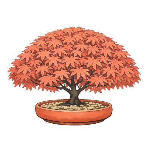 Coral-red Japanese Maple- Art & Aesthetics - T Shirt Designs - Digital File