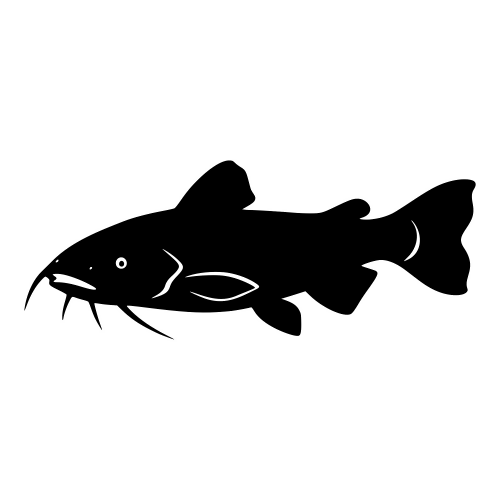Catfish Silhouette - Digital File - XCS Friendly Digital My Custom Designs PDF