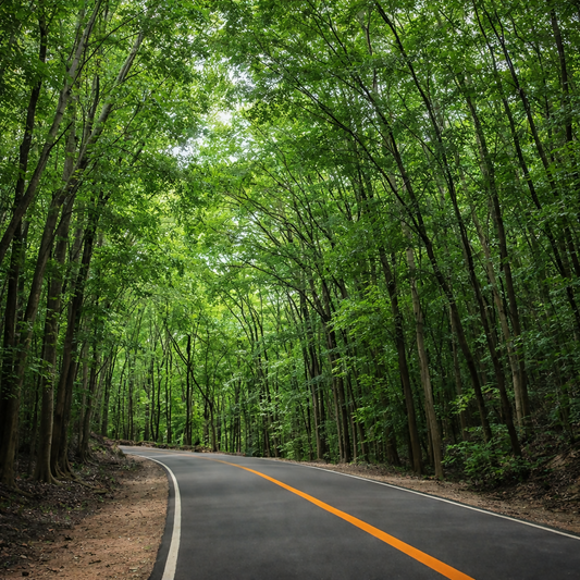 Bilar Man-Made Forest - Bohol Philippines - Asia - Rendered - Digital File Digital My Custom Designs PDF