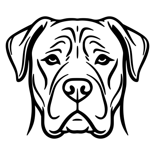 Cane Corso Face - Digital File - XCS Friendly Digital My Custom Designs PDF