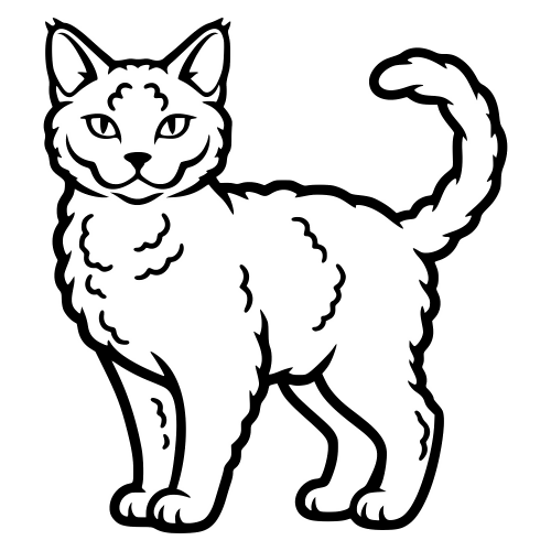 Selkirk Rex Longhair - Vector Graphics - Digital File Digital My Custom Designs PDF