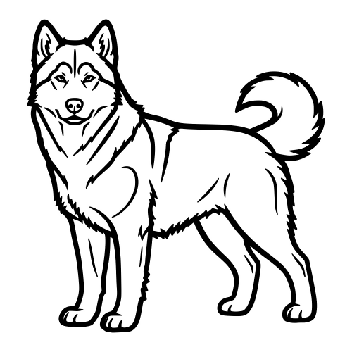 Alaskan Malamute Outline - Digital File - XCS Friendly Digital My Custom Designs PDF