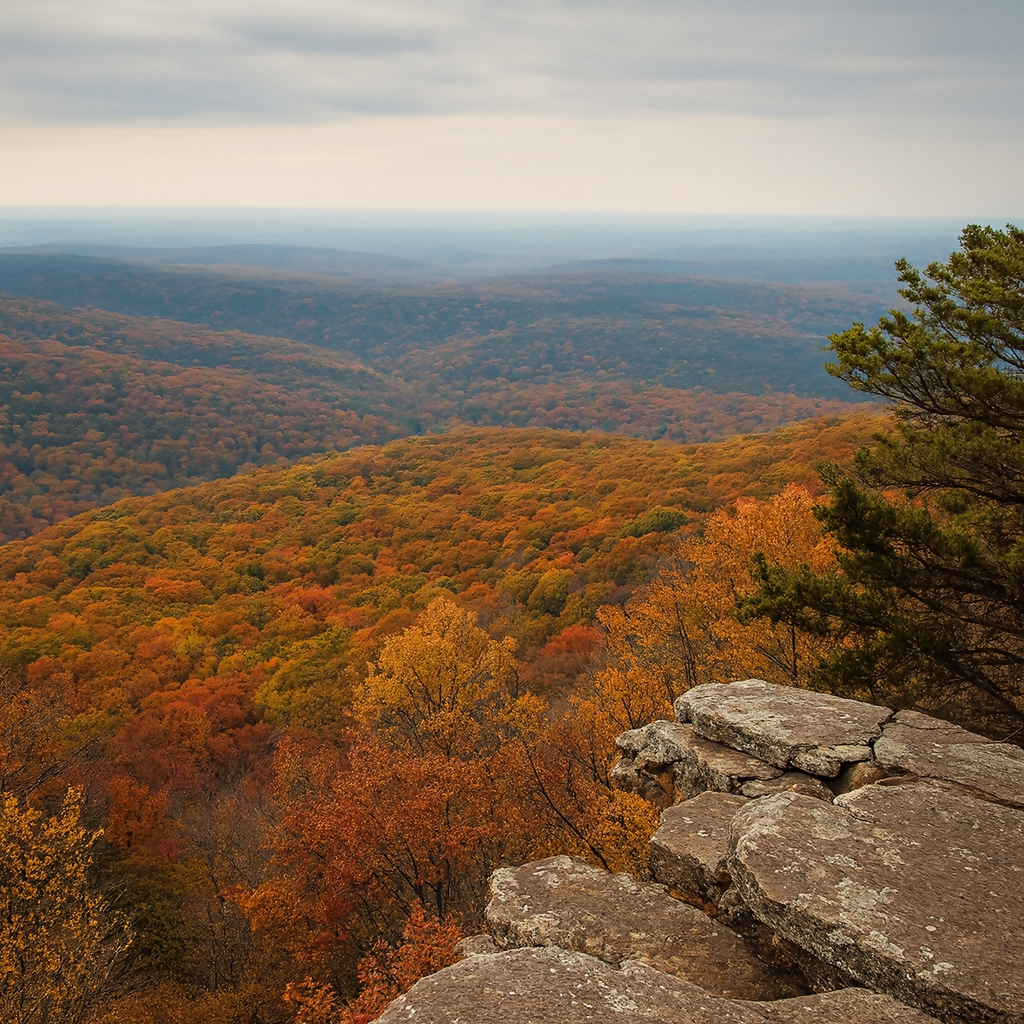 Cameron Bluff Overlook - Mount Magazine State Park - Arkansas United States - Rendered - Digital File Digital My Custom Designs PDF
