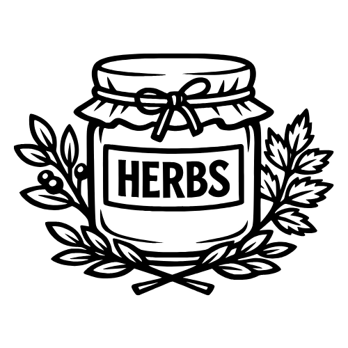 Herbal Jar Sketch - Vector Graphics - Digital File Digital My Custom Designs PDF