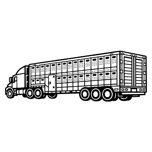 Semi Hauling Livestock Trailer - Vector Graphics - Digital File Digital My Custom Designs PDF