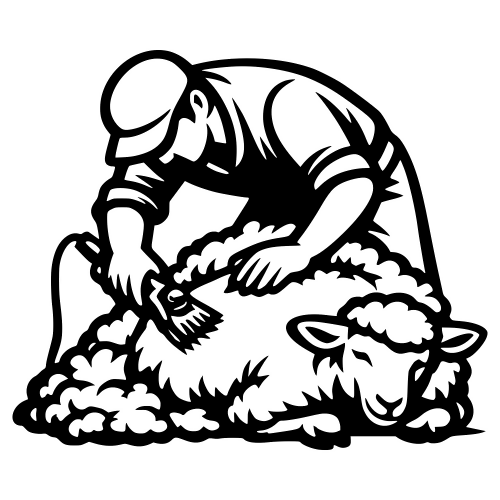 Sheep Shearing Outline - Vector Graphics - Digital File Digital My Custom Designs PDF