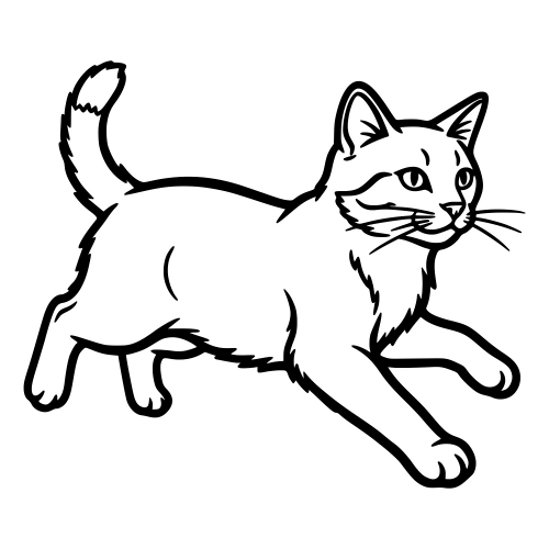 American Bobtail - Digital File - XCS Friendly Digital My Custom Designs PDF