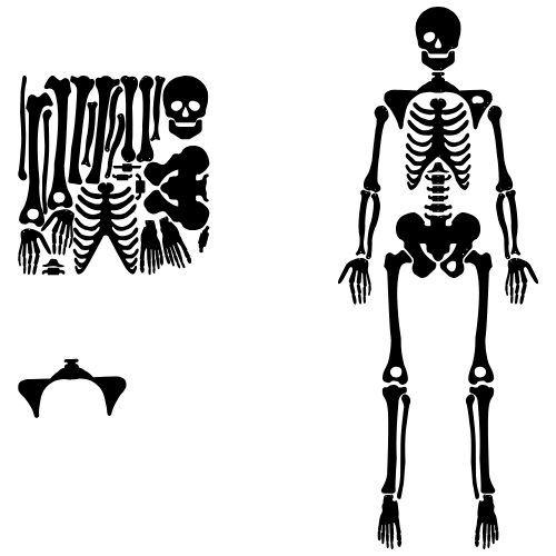 Halloween Decor - Full Body Skeleton - Digital File Tumbler My Custom Designs