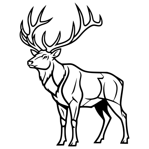 Elk Sketch - Digital File - XCS Friendly Digital My Custom Designs PDF
