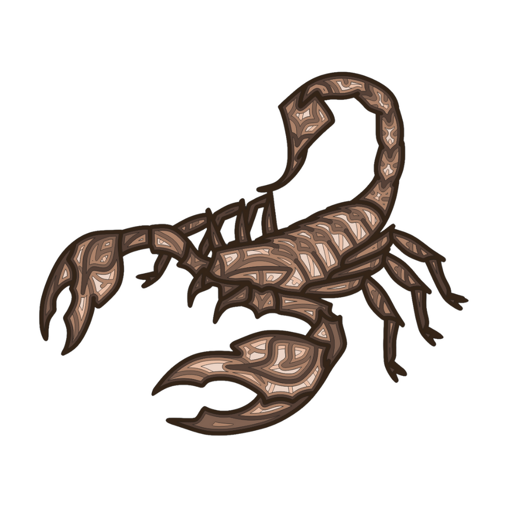 Scorpion - Layered Line Design - Digital File Digital My Custom Designs ZIP File