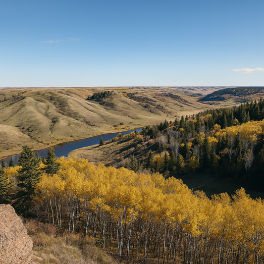 Cypress Hills Interprovincial Park - Saskatchewan Canada - Rendered - Digital File Digital My Custom Designs PDF