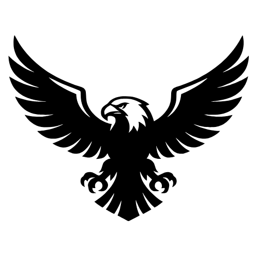 Eagle Silhouette - Digital File - XCS Friendly Digital My Custom Designs PDF