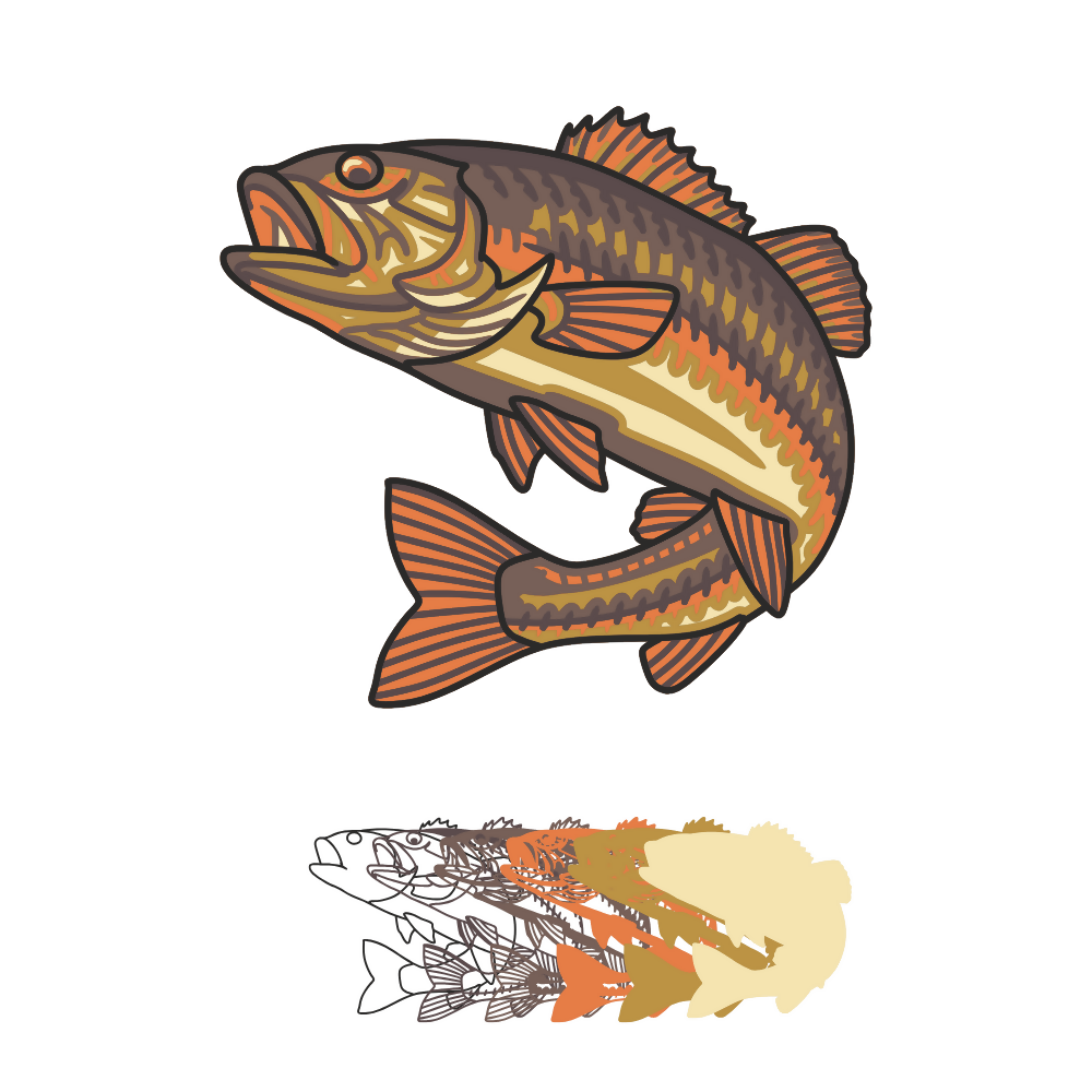 Bass Fish - Animal - Layered Line Design - Digital File Digital My Custom Designs ZIP File