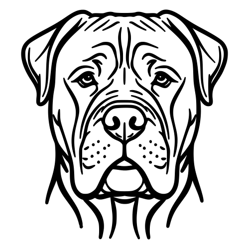 Bullmastiff Sketch Face - Digital File - XCS Friendly Digital My Custom Designs PDF