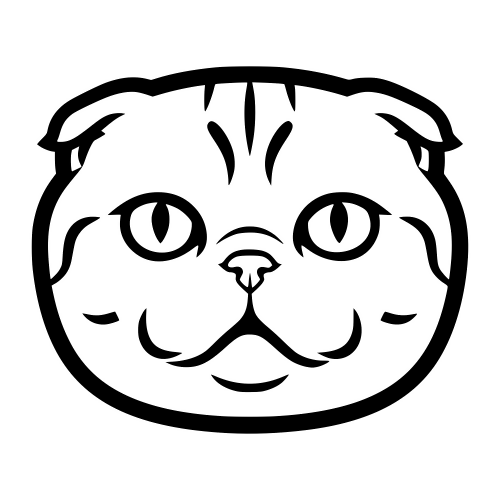 Exotic Fold Cat Sketch - Digital File - XCS Friendly Digital My Custom Designs PDF