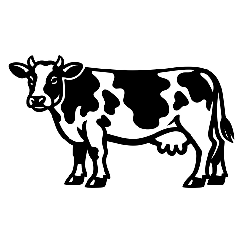 Holstein Cow Standing - Vector Graphics - Digital File Digital My Custom Designs PDF
