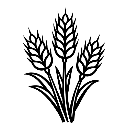 Wheat Sketch - Vector Graphics - Digital File