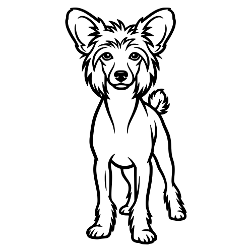 Chinese Crested Dog Whole Body - Digital File - XCS Friendly Digital My Custom Designs PDF