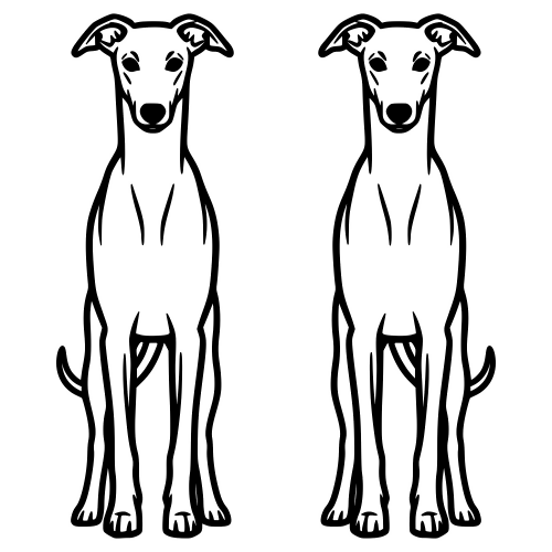 Whippet Outline - Digital File - XCS Friendly Digital My Custom Designs PDF