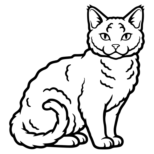 Selkirk Rex Longhair Sketch - Vector Graphics - Digital File Digital My Custom Designs PDF