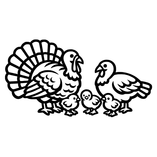 Turkey Family Outline - Vector Graphics - Digital File Digital My Custom Designs PDF