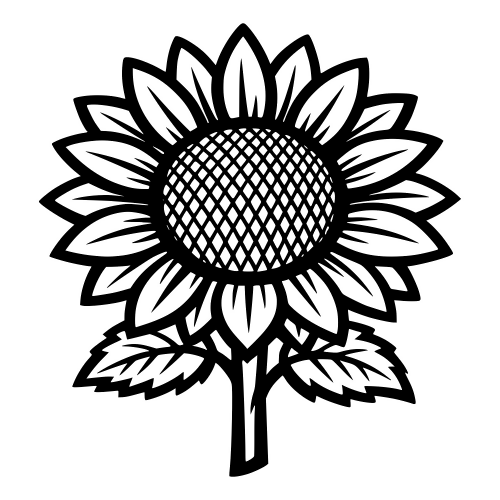 Sunflower Illustration - Vector Graphics - Digital File Digital My Custom Designs PDF