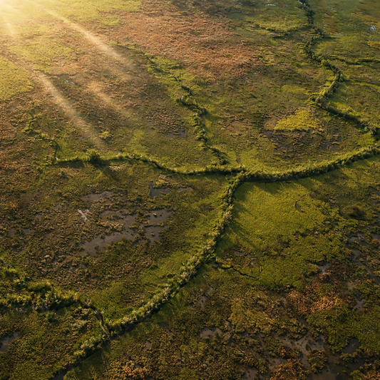 Wetlands and Floodplains - Kakadu National Park - Northern Territory - Australia - Rendered - Digital File Digital My Custom Designs PDF