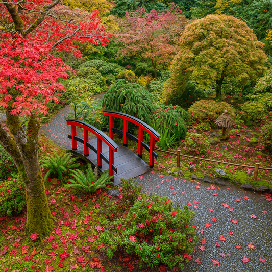 The Butchart Gardens - Brentwood Bay - British Columbia Canada - Rendered - Digital File Digital My Custom Designs PDF