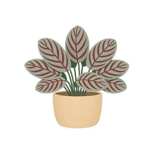 Prayer Plant - Art & Aesthetics - T Shirt Designs - Digital File