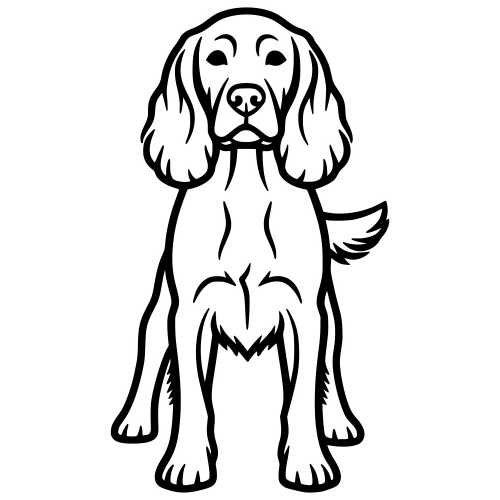 English Springer Spaniel - Digital File - XCS Friendly Digital My Custom Designs PDF