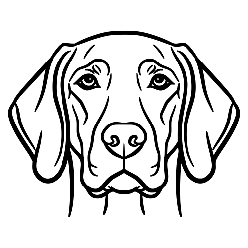 Pointer Dog Face - Digital File - XCS Friendly Digital My Custom Designs PDF