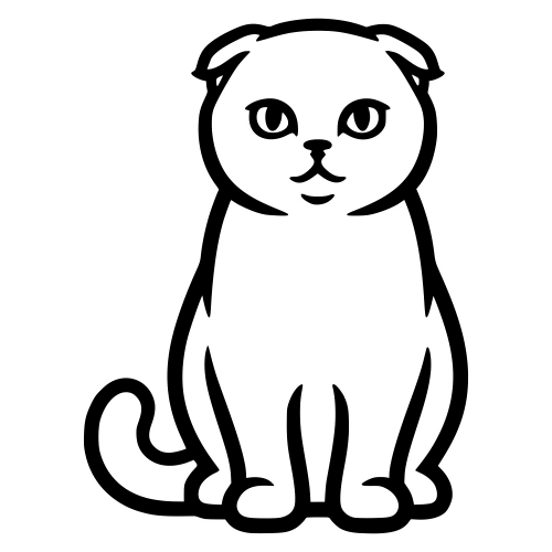 Exotic Fold Cat - Vector Graphics - Digital File Digital My Custom Designs PDF