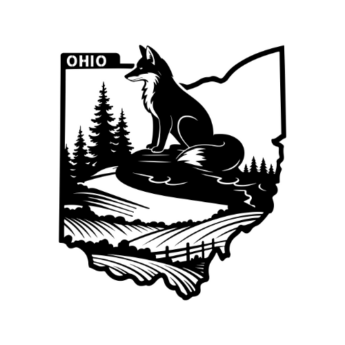 Ohio - Wall / Home Decor - State Outline - United States - Digital File Digital My Custom Designs ZIP File